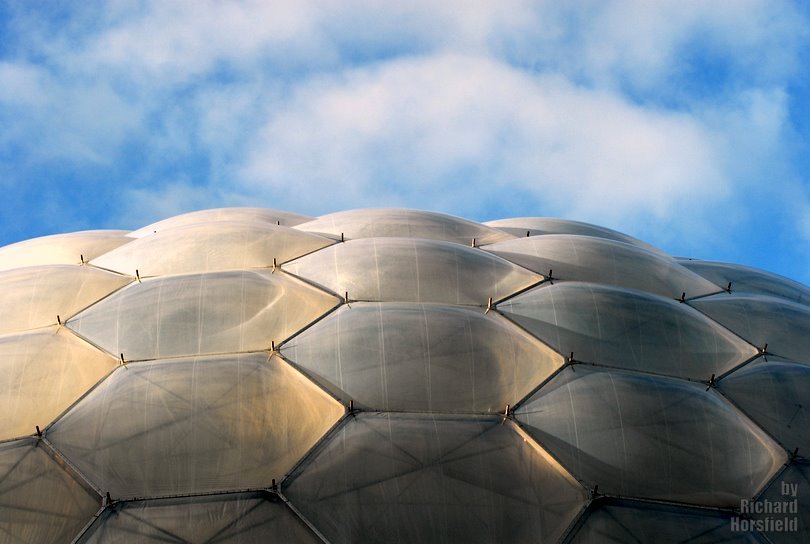 eden project biome				